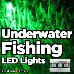 LED Fish Lamp – LedsMaster LED Lighting